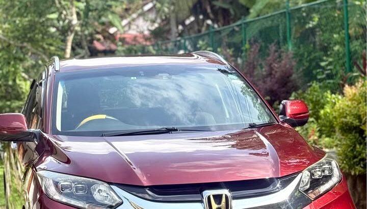 Honda Vezel Orange package