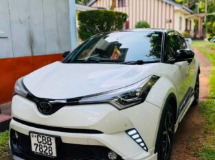 Toyota C-HR NGX-50