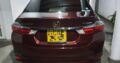Honda Grace (Ex package)