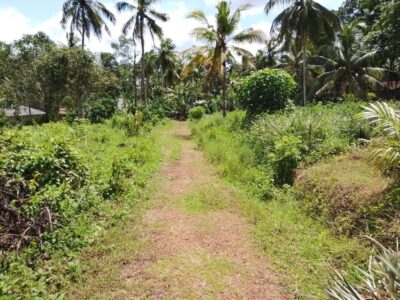 LAND PLOT FOR SALE NEAR LUNUMAGA PRIMARY SCHOOL.