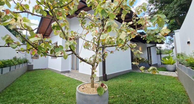 Brand new house for sale in homagama meegoda,,nearest economic center meegoda,,,