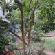 Two-Story House for Sale in Mulleriyawa.