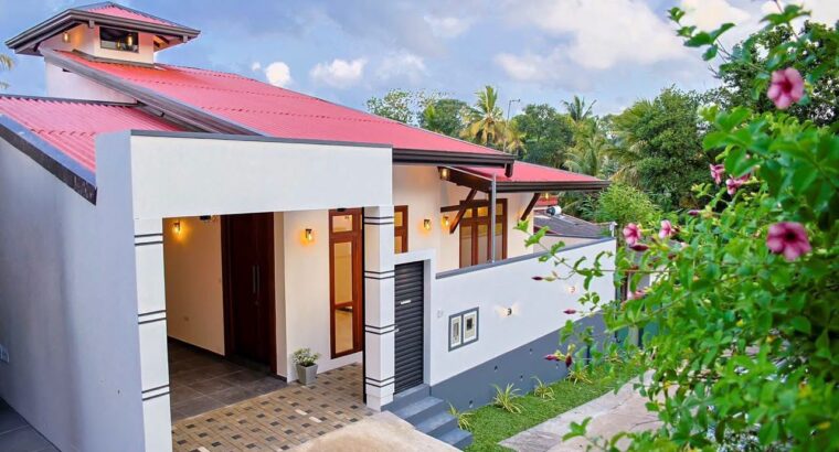 Brandnew Single Storey Modern House For Sale In Athurugiriya
