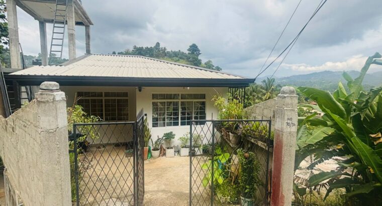 Newly Made House for Sale -Gampola