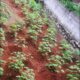 ⭕️Land for Sale IBULGODA
