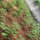 ⭕️Land for Sale IBULGODA