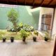 PRIME PROPERTY FOR SALE – COLOMBO 6