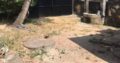 HOUSE FOR RENT IN RATHMALANA