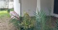 HOUSE FOR SALE IN NEGOMBO – KADIRANA