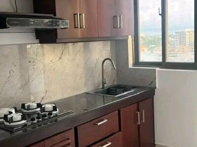 BRAND NEW APARTMENT FOR SALE IN DEHIWALA